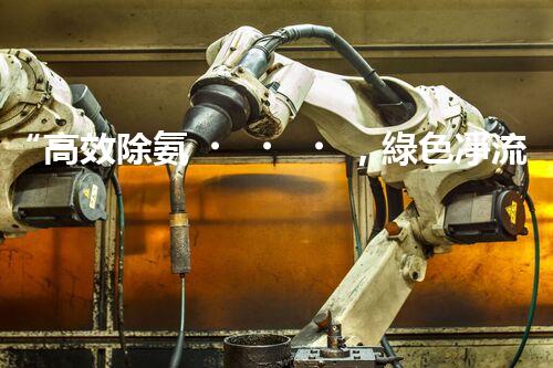 “高效除氨，綠色凈流：揭秘氨氮廢水處理新篇章”